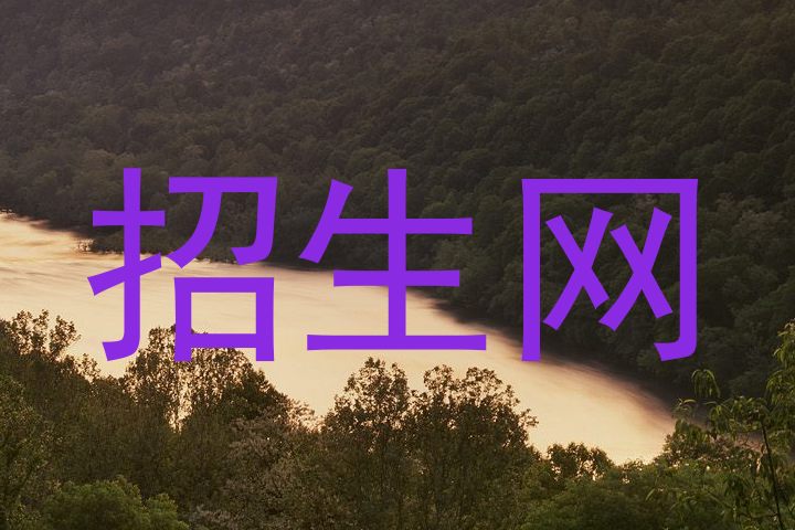 招生网
