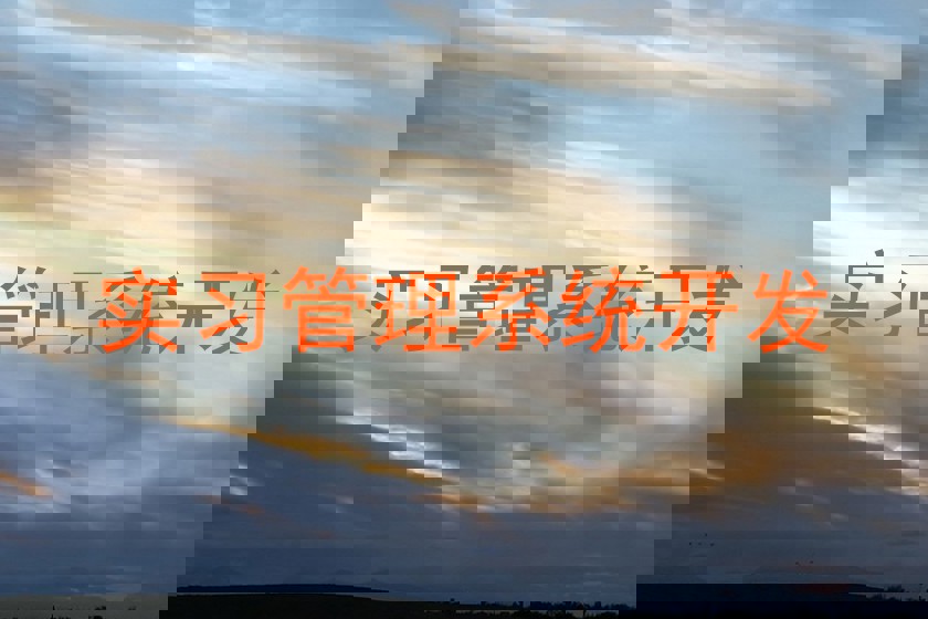 实习管理系统开发