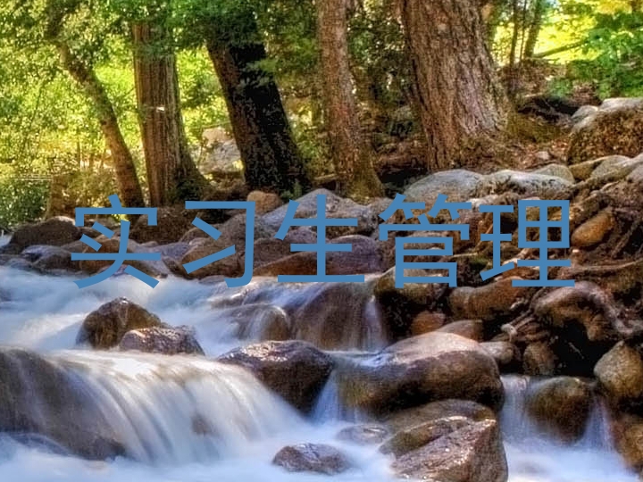 实习生管理