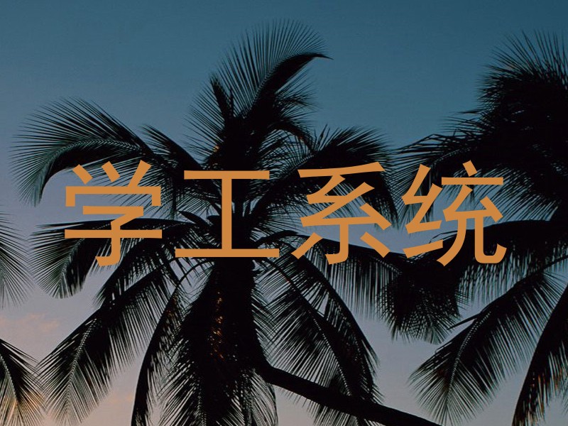 学工系统