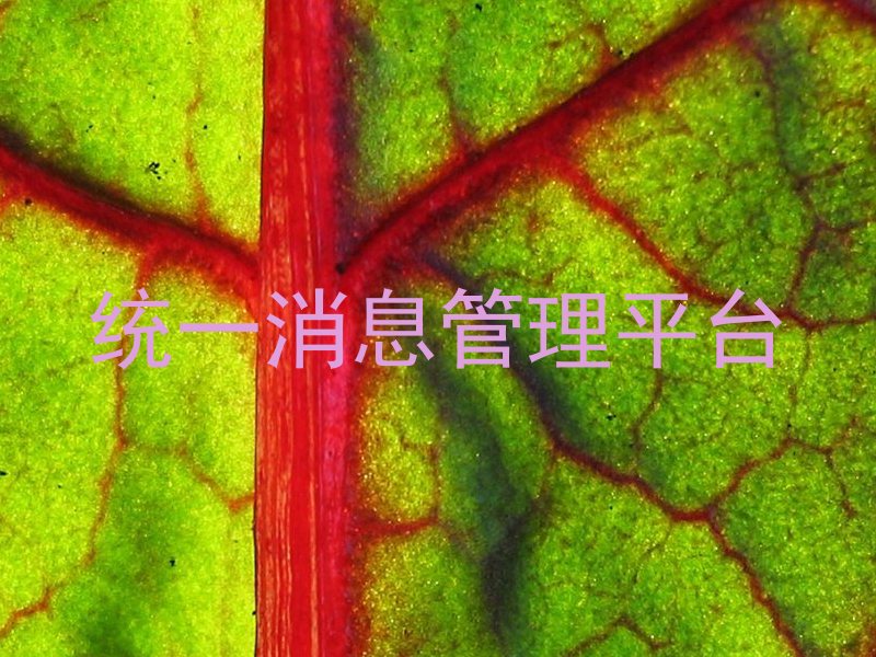 统一消息管理平台