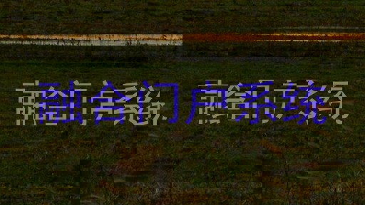 融合门户系统
