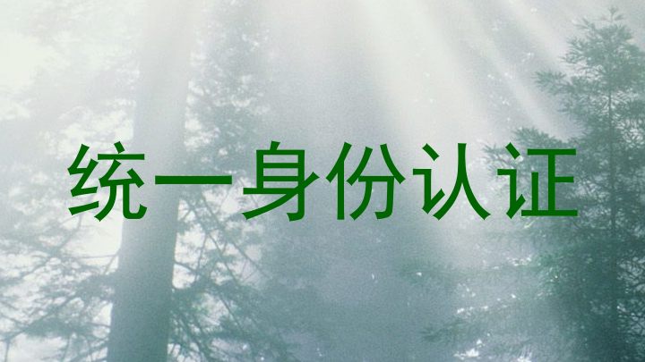 统一身份认证