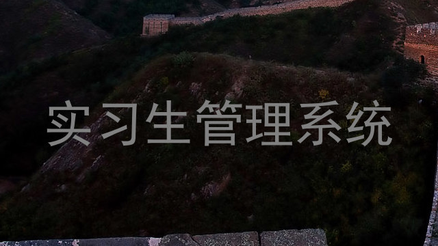 实习生管理系统