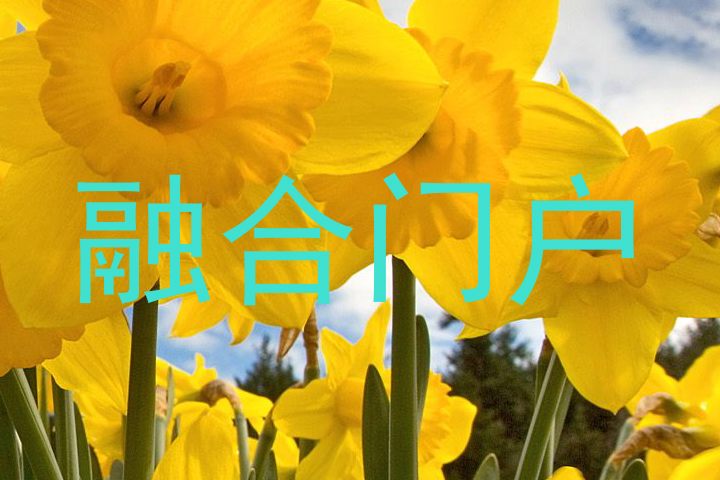 融合门户