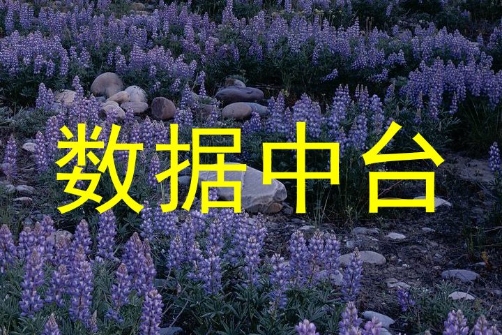数据中台