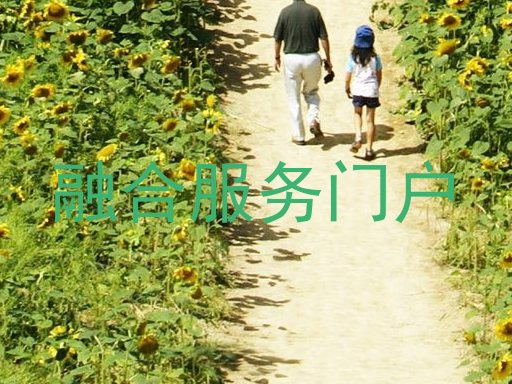 融合服务门户
