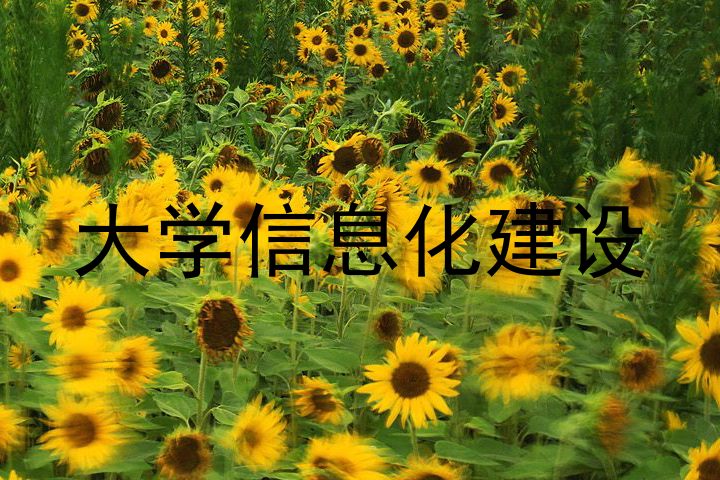 大学信息化建设