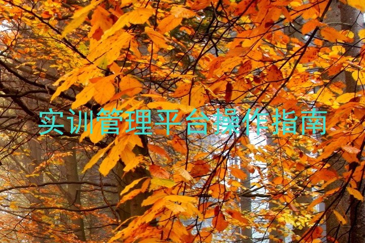 实训管理平台操作指南