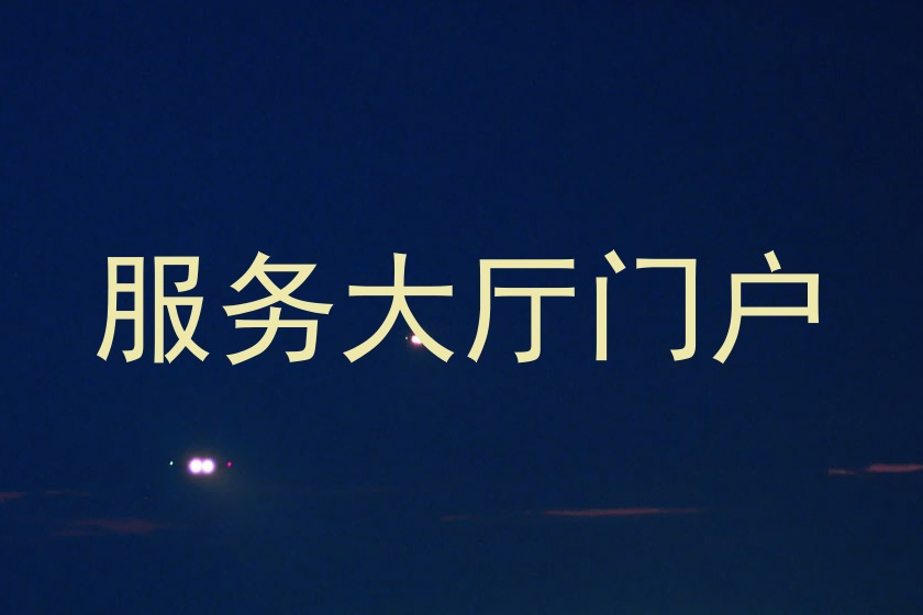 服务大厅门户