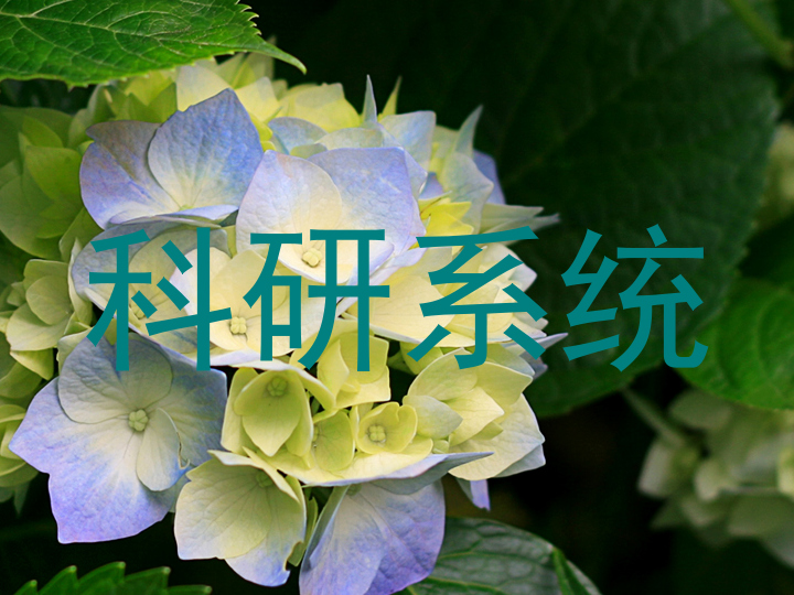科研系统