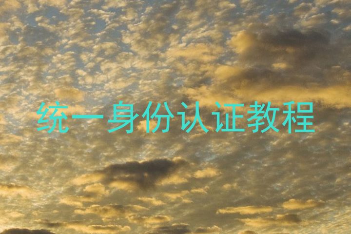 统一身份认证教程