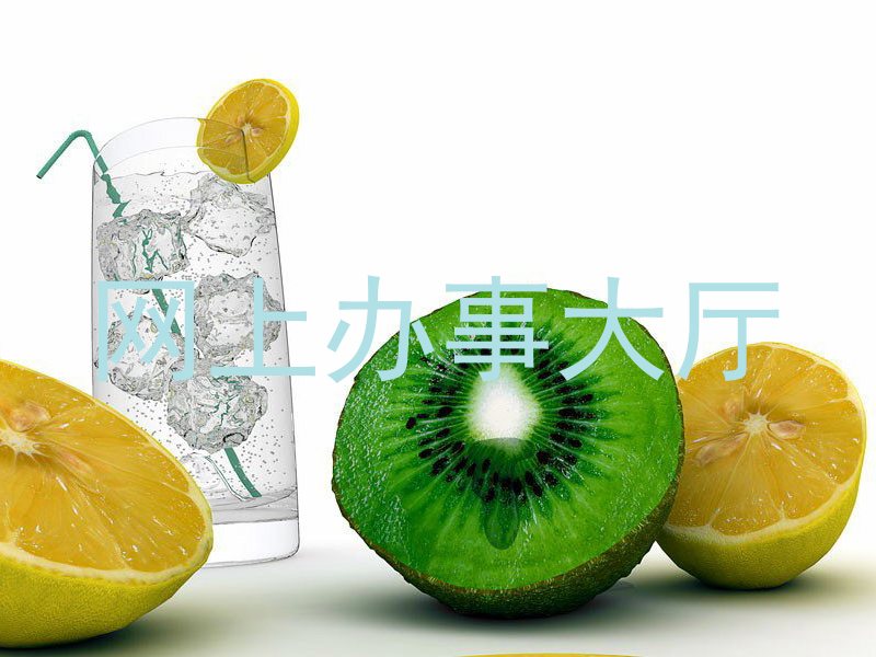 网上办事大厅