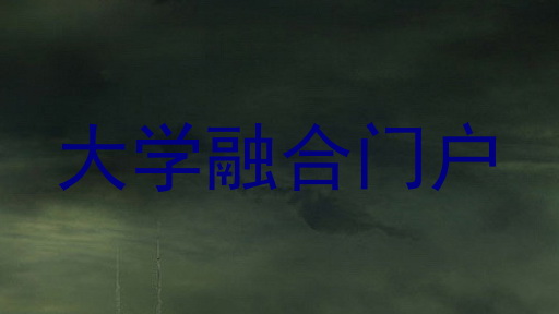 大学融合门户