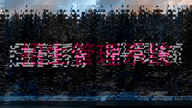 招生管理系统