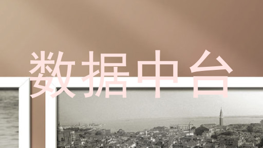 数据中台