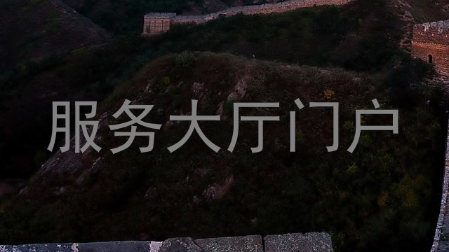 服务大厅门户