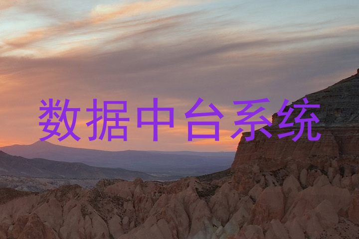 数据中台系统