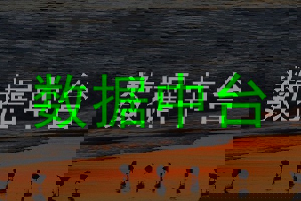 数据中台