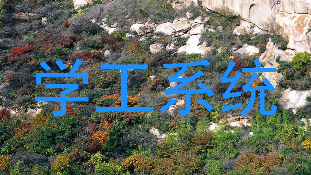 学工系统