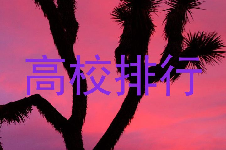 高校排行