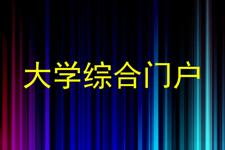 大学综合门户