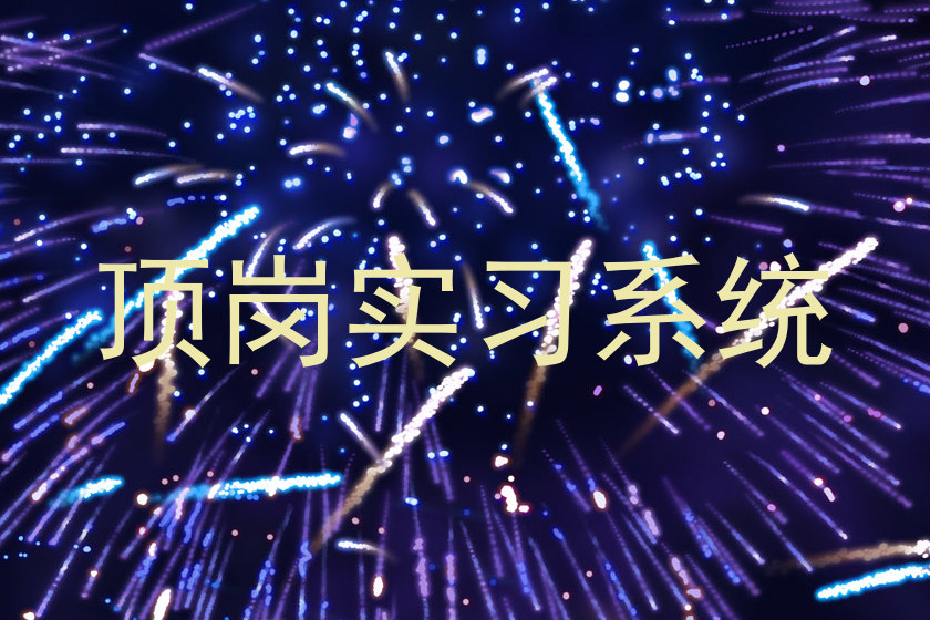 顶岗实习系统
