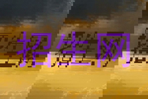 招生网