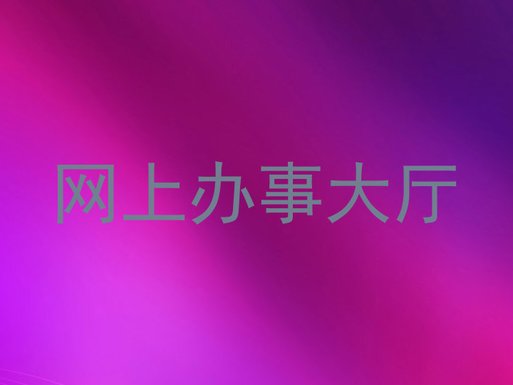 网上办事大厅
