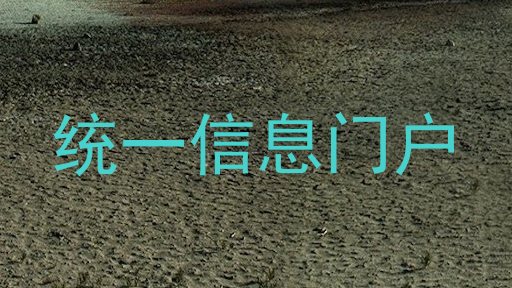 统一信息门户