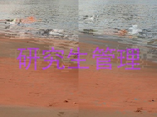 研究生管理