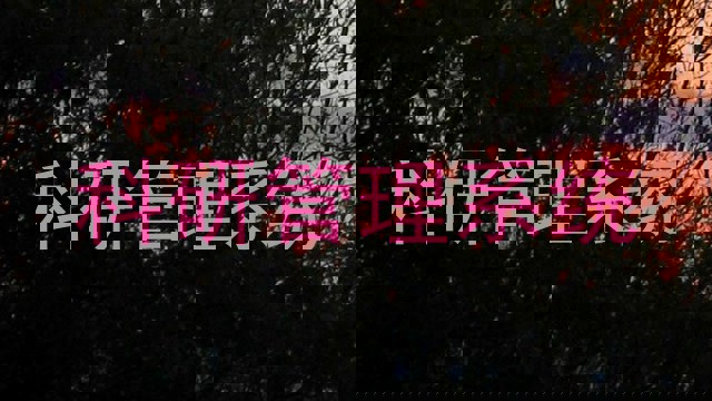 科研管理系统