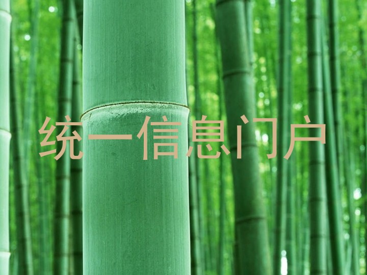 统一信息门户