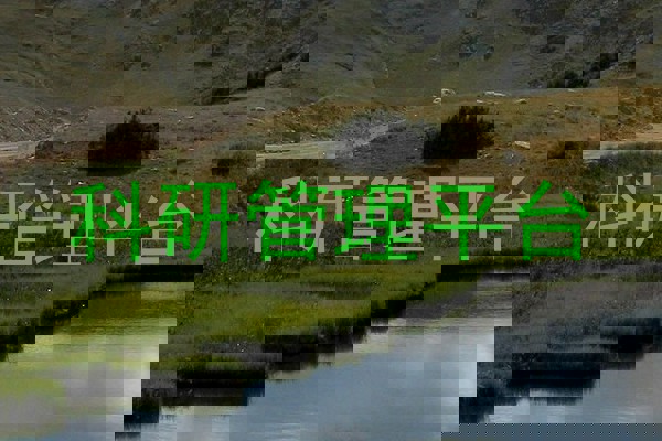 科研管理平台