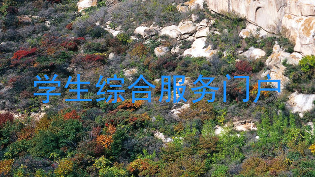 学生综合服务门户