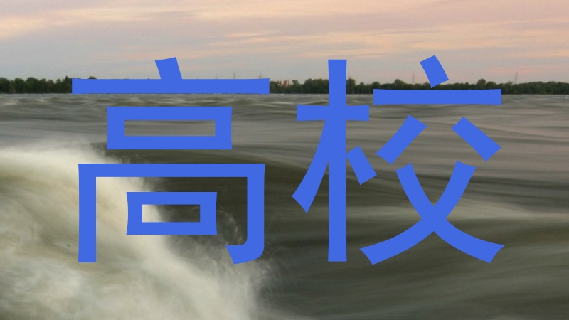 高校
