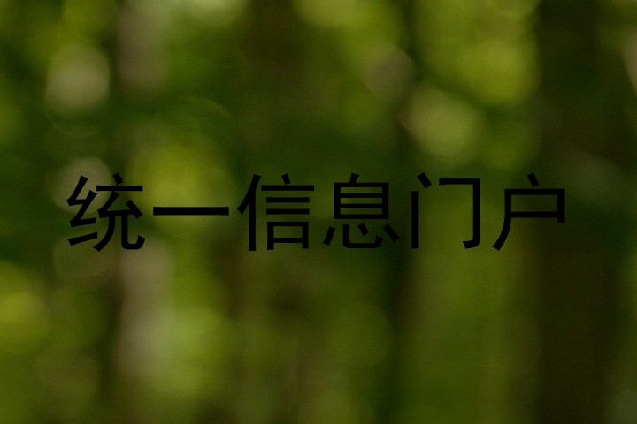 统一信息门户