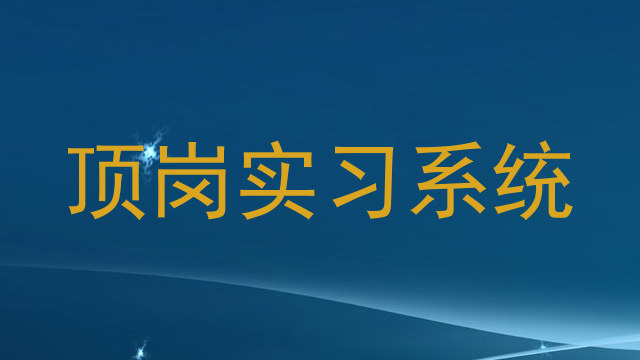 顶岗实习系统