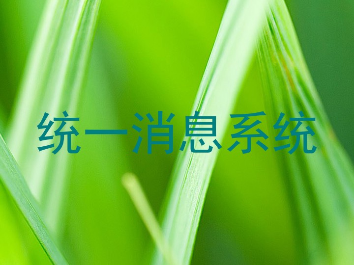 统一消息系统
