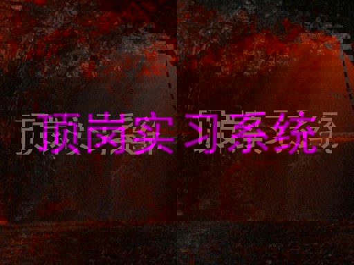 顶岗实习系统