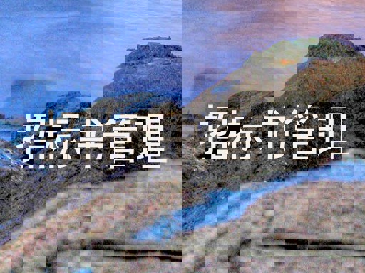 招标书管理