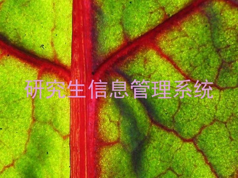 研究生信息管理系统