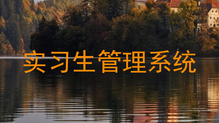 实习生管理系统