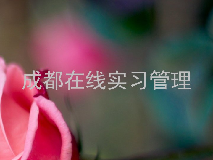 成都在线实习管理
