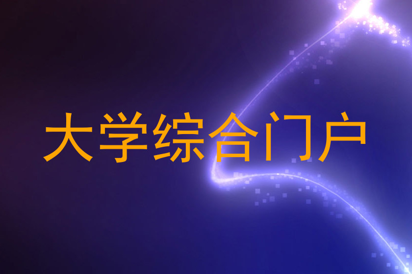 大学综合门户