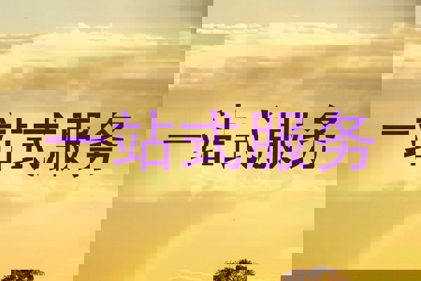 一站式服务