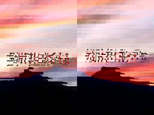 芜湖市招生服务平台