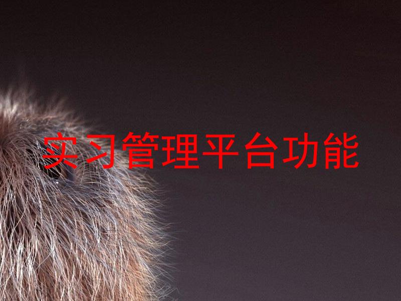 实习管理平台功能