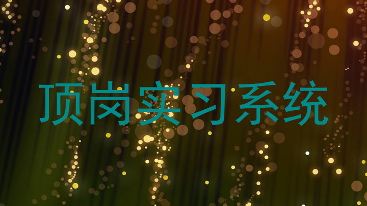 顶岗实习系统