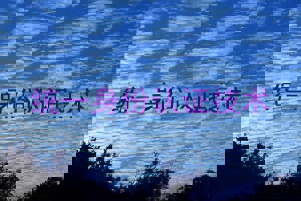 统一身份认证技术